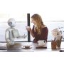 Нужно ли обращаться с роботом по-человечески?